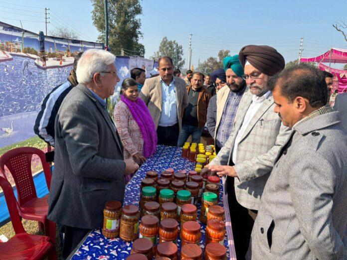 honey festival