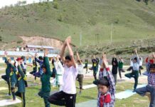 Youth Services and Sports