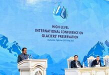 Glacier Preservation