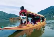 Dal Lake to Remain Free of Motorised Rides as J&K High Court Restricts Motorboats, Jet Skis Dal Lake