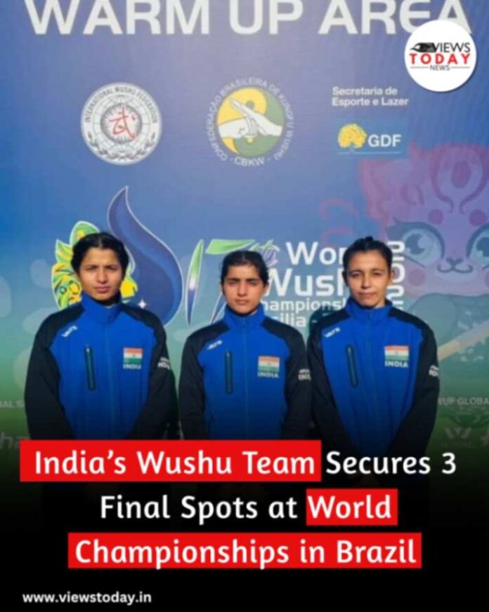 India’s Wushu Team