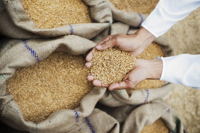 Wheat exports India Wheat exports India