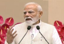 PM Modi Expresses Grief Over Anand Road Accident in Gujarat PM Modi Anand road accident