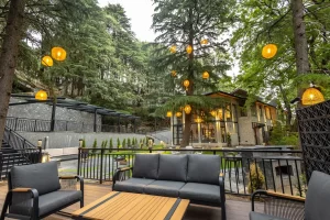 Luxury villa in Dalhousie
