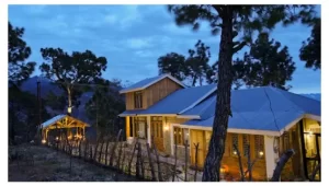 Nikkus Villa at night