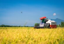 Government Supports Distribution of 22 Lakh Farm Machines Under Agricultural Mechanisation Scheme Sub-Mission on Agricultural Mechanisation