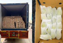 India Exports 12.5 Tonnes of Dashehari and Langra Mangoes to Dubai by Sea, Boosting Farmers’ Returns India exports mangoes to Dubai
