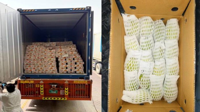 India exports mangoes to Dubai