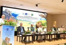 Tiger Conservation Must Balance Ecology and Human Livelihoods, Says Bhupender Yadav Tiger Landscapes Conservation