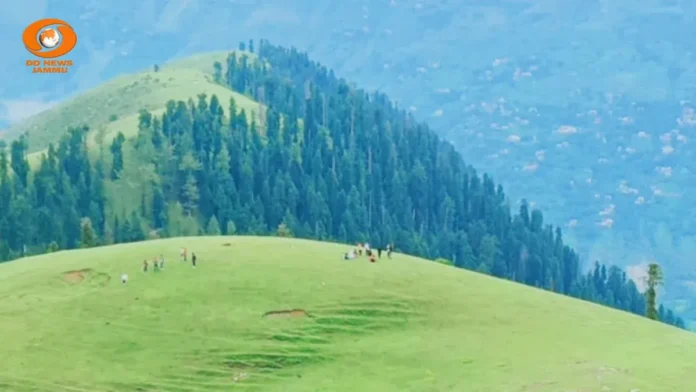 sunaseri Guglidhār Festival 2026