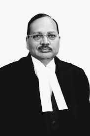 CJI Surya Kant Supreme Court CJI Surya Kant Supreme Court