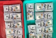 CISF Seizes Foreign Currency Worth Over ₹1.13 Crore at Kolkata Airport CISF foreign currency seizure Kolkata Airport